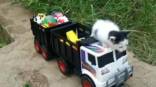 Trek Gandeng dan Si mochi kucing lucu menemukan mainan