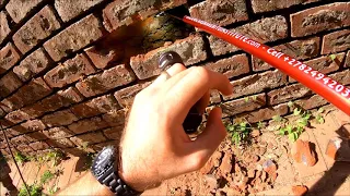 EXTRACTING A BLACK MAMBA FROM A WALL!