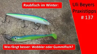 Raubfischangeln im Winter: Angeln mit Wobbler oder Gummifisch?