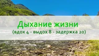 Дыхание жизни (вдох 4 - выдох 8 - задержка 20) на природе