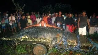 Lolong the World's Largest Crocodile found in the Philippines