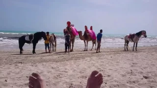 Тунис 2017, май, пляж