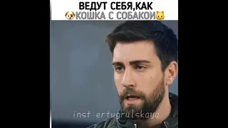 Моменты из сериала Разведка😻♾ ЧагДен