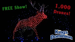 We Went to a Free Drone Show at Kings Dominion! #WalmartDroneShow