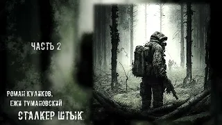 «Штык» 2/2 - Роман Куликов, Ежи Тумановский [ S.T.A.L.K.E.R. | Аудиокнига ] (реставрация, муз.-эфф.)