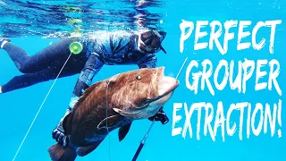 DEEP Bahama Spearfishing In CAVES! | GROUPER on POLE SPEAR! | #short