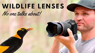 Wildlife Lenses No One is Talking About! Yet we often take our best images with them!