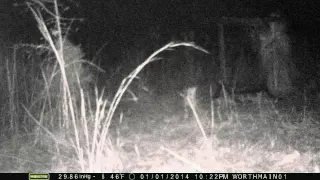 Real creepy and unexplainable trail cam photos  5!