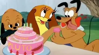 ᴴᴰ Donald Duck & Chip and Dale Cartoons - Lion, Pluto, Mickey Mouse Clubhouse, Figaro, Frankie # 2