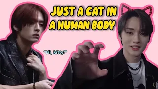 Lee Know is a Cat Stuck in a Human Body