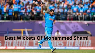 Shami Best Wickets | Mohammed Shami Top 10 Wickets | CricketTV