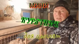 Мини курятник для цыплят