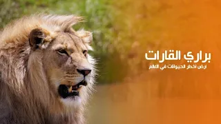 براري القارات ارض اخطر الحيوانات في العالم 4K | كويست عربية Quest Arabiya