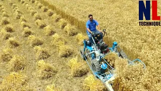 Cool and Powerful Agriculture Machines That Are On Another Level Part 19