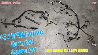 E30 Restoration EP22 | E30 M20 Engine Harness Overview