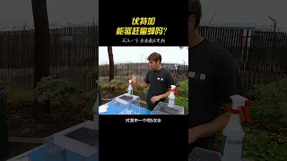 流言终结者：伏特加能驱赶蜜蜂吗？ #科学实验 #探索发现 #伏特加 #蜜蜂