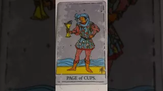 The Page of Cups as Feelings in a Love Reading