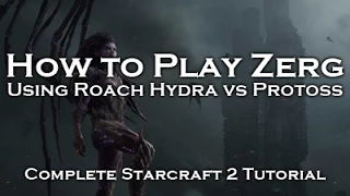 [Starcraft 2: HoTS] Zerg Tutorials - Roach Hydra Builds vs Protoss (ZvP)