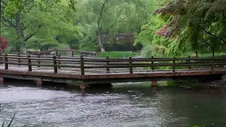 The beautiful little river is raining(197) , sleep, relax, meditate, study, work, ASMR