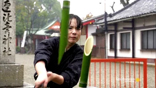 A Demonstration of Perfect Samurai Swordsmanship