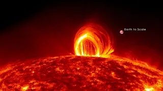 Our Local Star: the Sun's Vital Stats