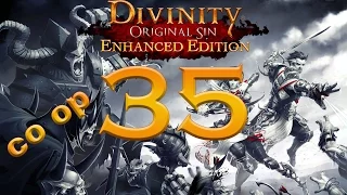 Divinity Original Sin Enhanced Edition coop part 35 Stepping into Luculla Forest