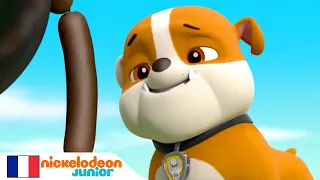 Paw Patrol : La Pat' Patrouille | Épisodes inédits à partir du 29 mai | NICKELODEON JUNIOR