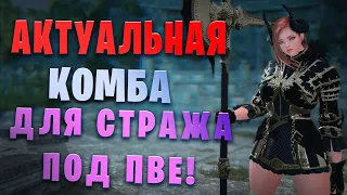 НЕ)))) Актуальная Комба для стража в Пве и Разбор Апа, так же сравнение стоек (Black Desert)