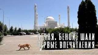 Поездка на гонку в Чечню, не гоночные дни, общие впечатления)))