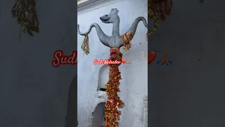 Sudh Mahadev Chenani (Udhampur,Jammu)#youtubeshorts #trendingshorts #travelvlog #mahadevtemple