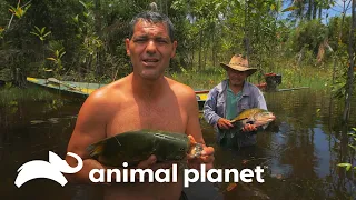 Frank pesca con sus propias manos | Wild Frank | Animal Planet