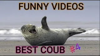 Best Animals Coub #4-СМЕШНЫЕ ЖИВОТНЫЕ 2022-ТОПовая подборка-Funny Animals Videos Compilation 2022