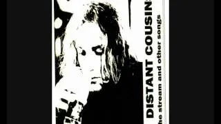 The Distant Cousins - The stream