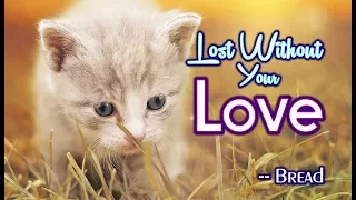 Lost Without Your Love - Bread (KARAOKE VERSION)