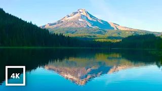 4K Serene Trillium Lake & Mt. Hood Scenery | 6 Hours of Relaxing Nature for Sleep & Meditation