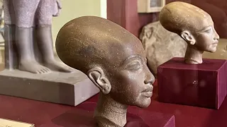 Ancient Egyptian Hybrids?