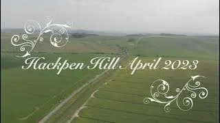 HACKPEN HILL GHOST CROP CIRCLE APRIL 2023   4K