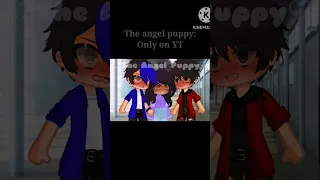 💘Love me more💘 || Gacha Art Meme || 💜Aphmau💜 || ♡The angel puppy♡