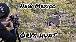 New Mexico Oryx hunt