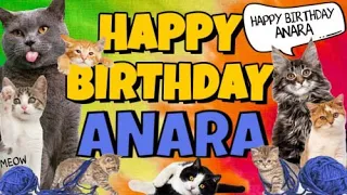 Happy Birthday Anara! Crazy Cats Say Happy Birthday Anara (Very Funny)