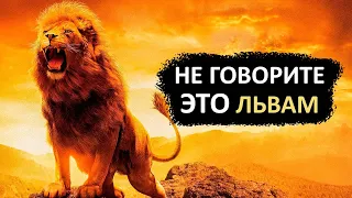 Не говорите эти 15 фраз знаку ЛЕВ