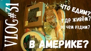 VLOG#31 Что едим, где живем и на чем ездим в Америке? Вторая неделя в США!