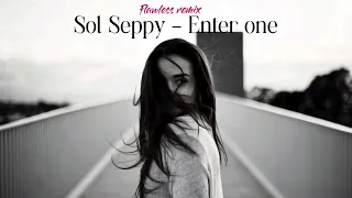 Sol Seppy - enter one (Flawless remix)
