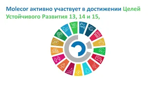 Экологическая Среда - цель 13, 14, 15 в области устойчивого развития