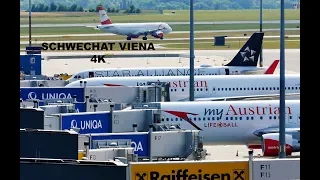 29 MIN Plane Spotting, Taxis and Take-offs @ Vienna Airport VIE - 4K