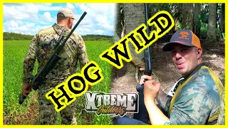We Went HOG WILD!! ( .338 Lapua vs .45-70 Florida Hog Hunt)