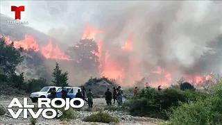Incendios en la isla griega de Rodas | Al Rojo Vivo | Telemundo