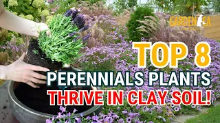 Top 8 Stunning Flowers That THRIVE in CLAY SOIL! 🌼🌱🌸 // Gardening Ideas