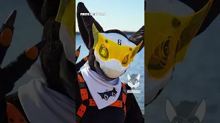 Fursuit Avatar from VRCHAT???