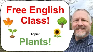 Free English Class! Topic: Plants! 🌱🌳🌻